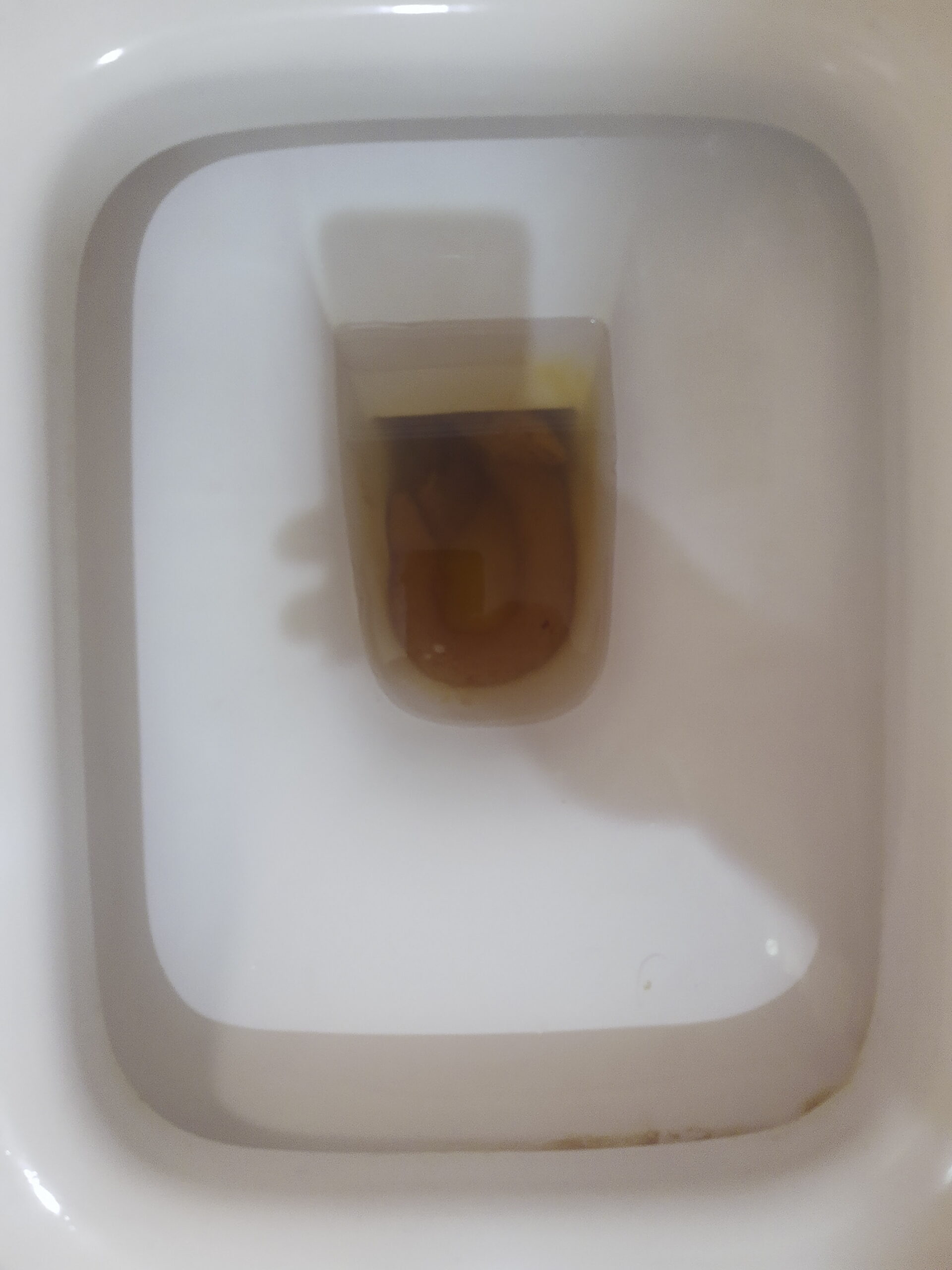 2022-11-20 | It’s been a long time since the last snake!