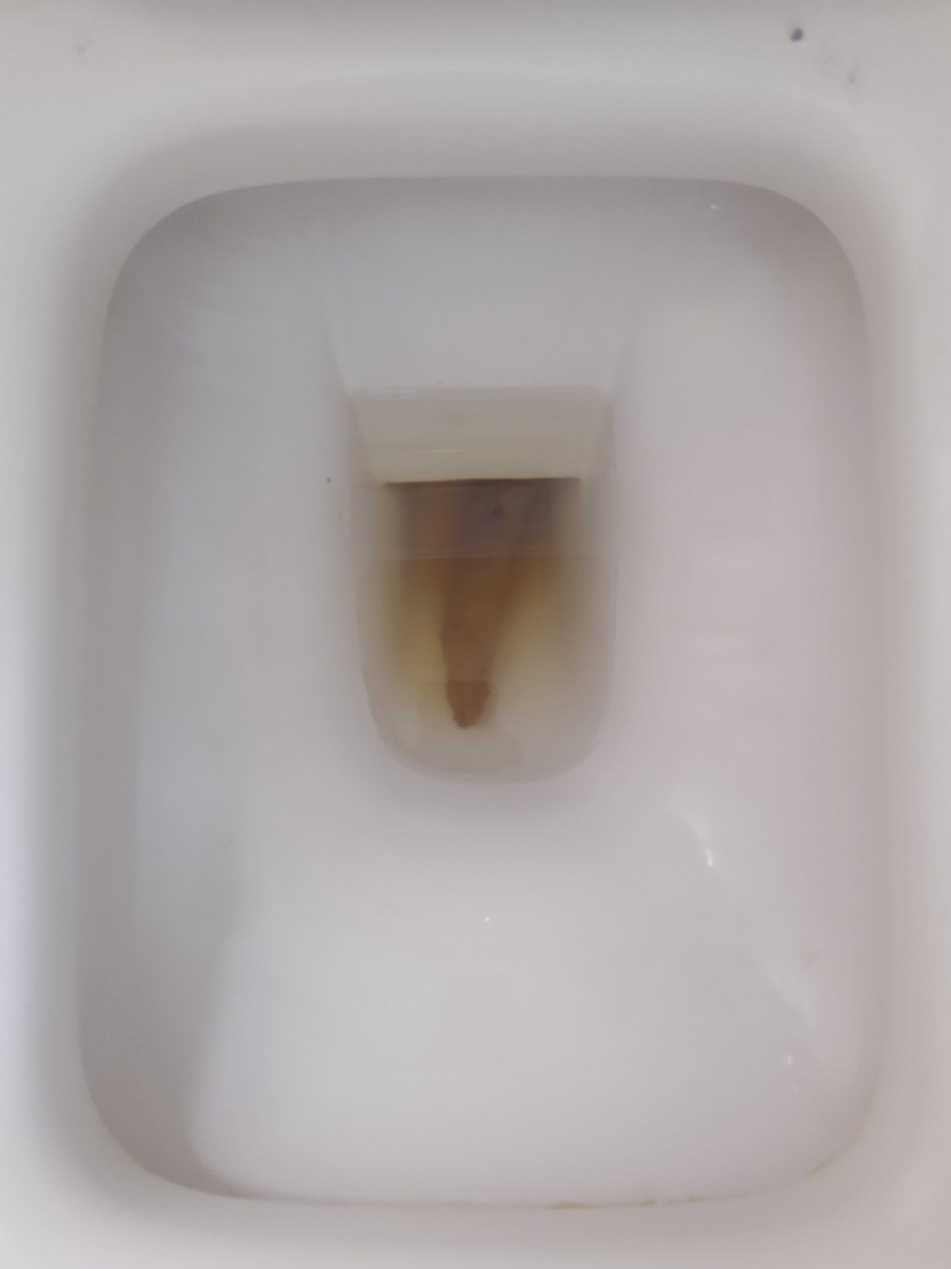 2023-01-12 | A nice spear!