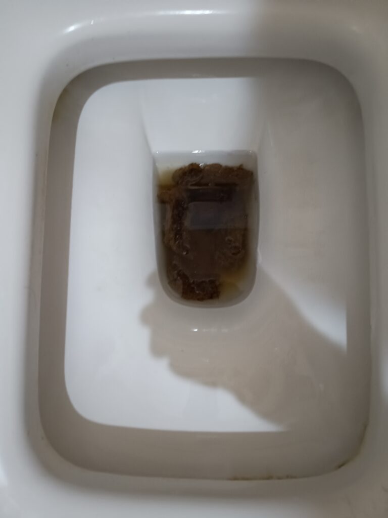 Dark Bristol 3 Floaters