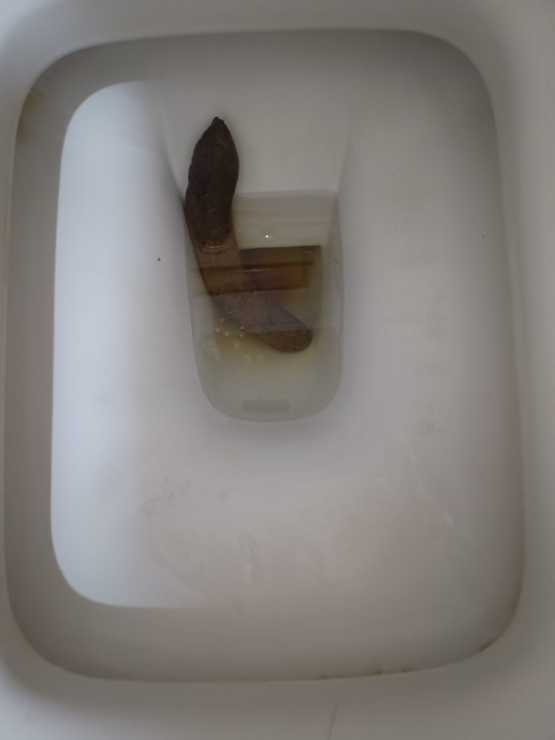 Bristol 4 Perfection!