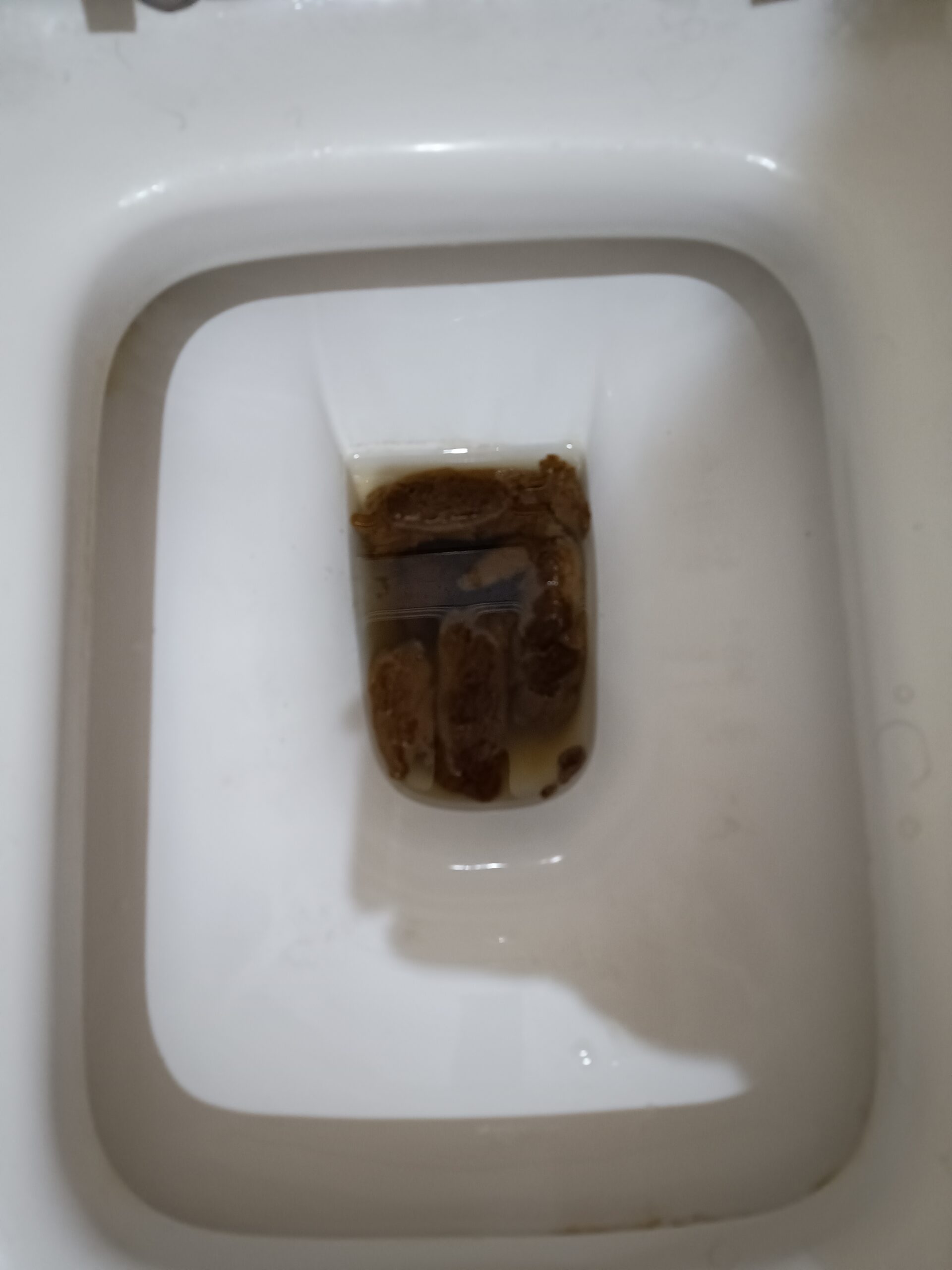 Lots of Bristol 3 Floaters!