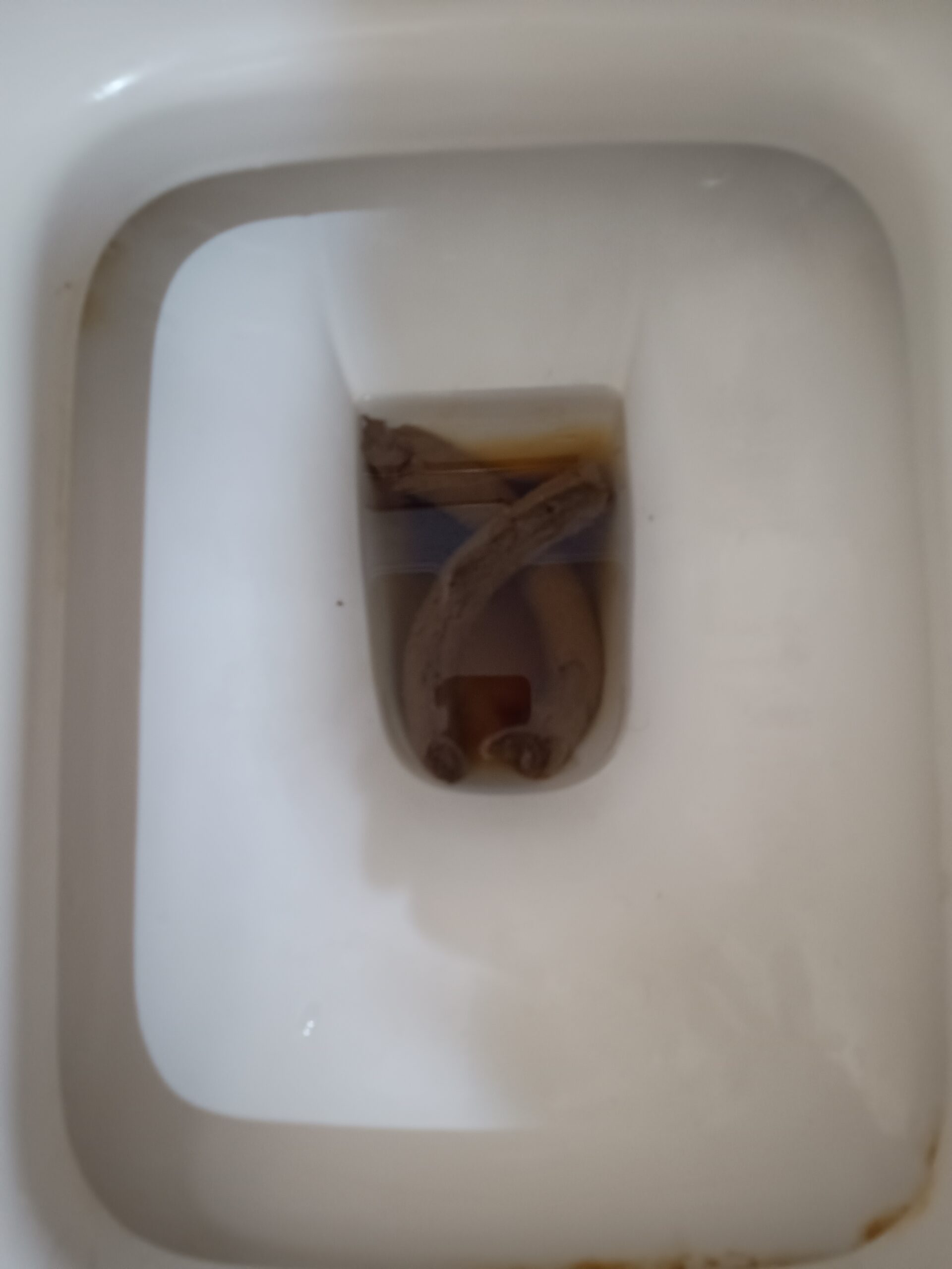 2023-12-11 | X marks the Spot!