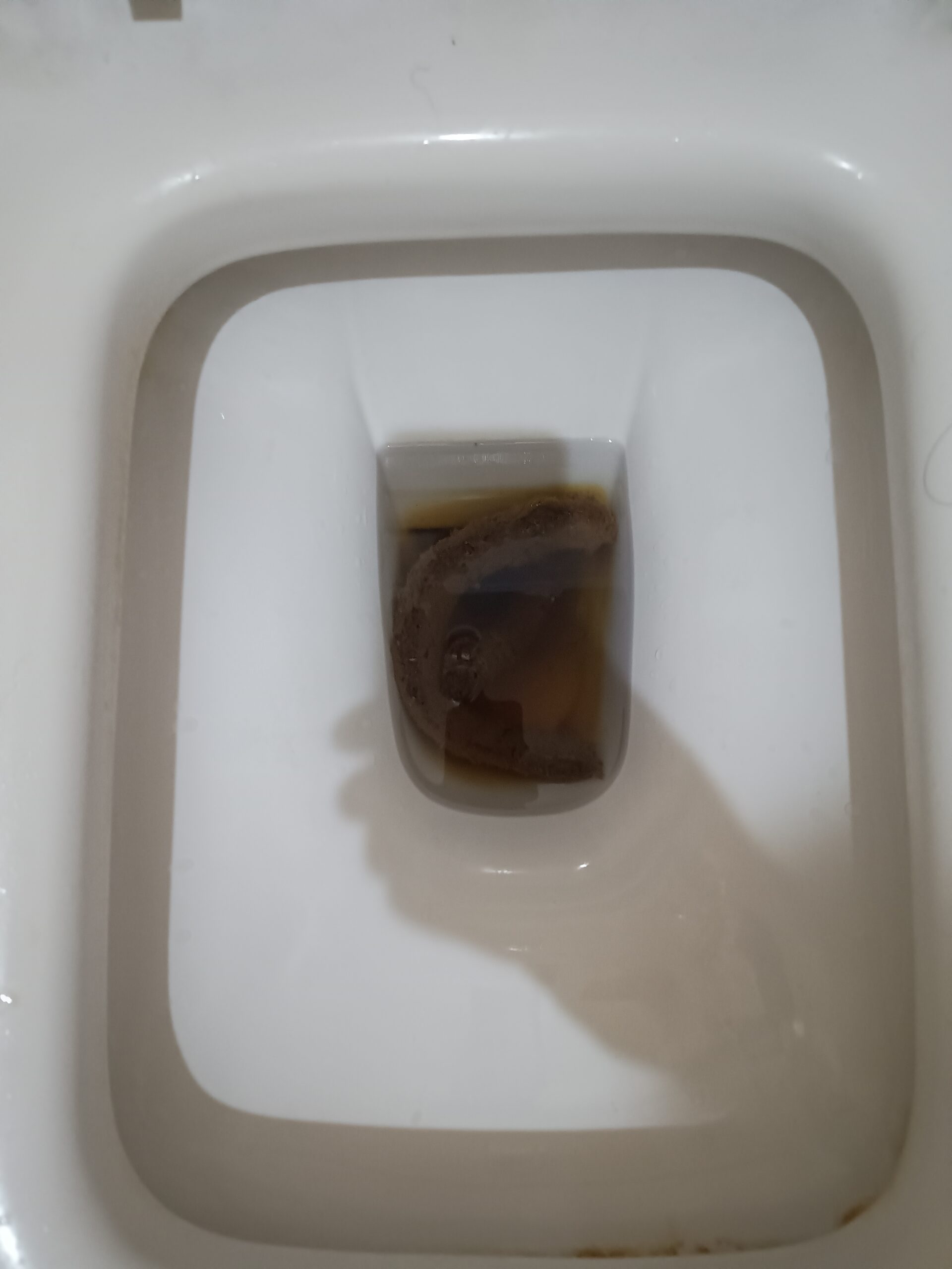 2024-01-04 | A C Shape Bristol 4!