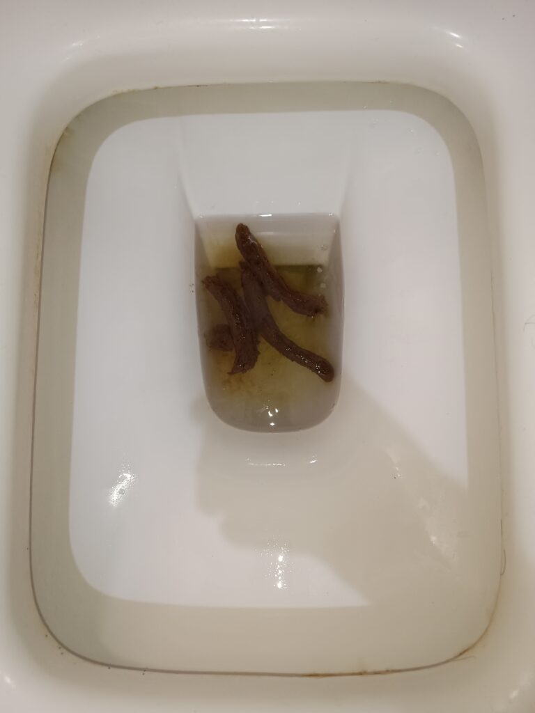 Skinny Bristol 3 Floaters!