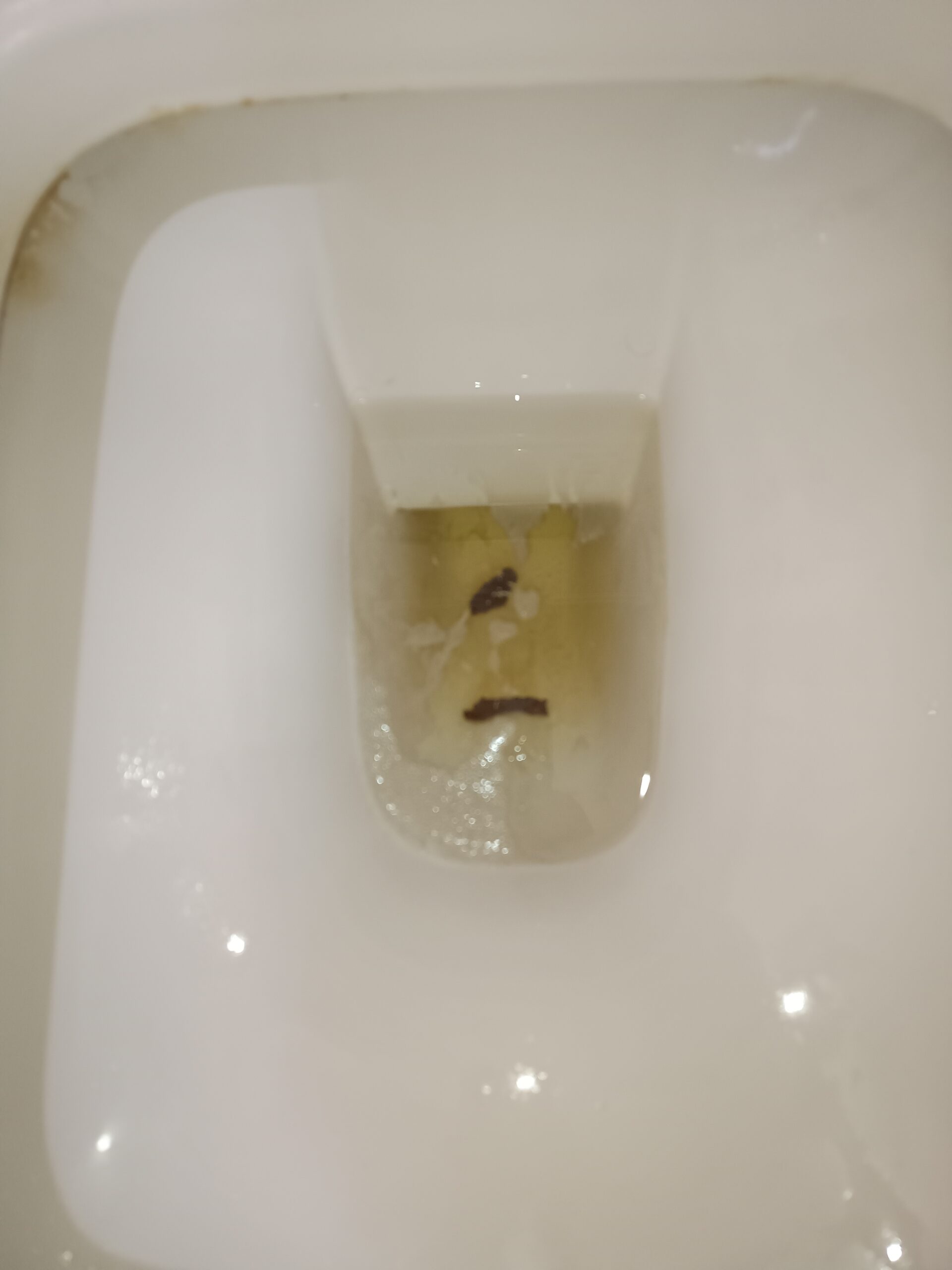 2024-02-11 | Shitty Trifecta Day! Well, that was a tiny shit!