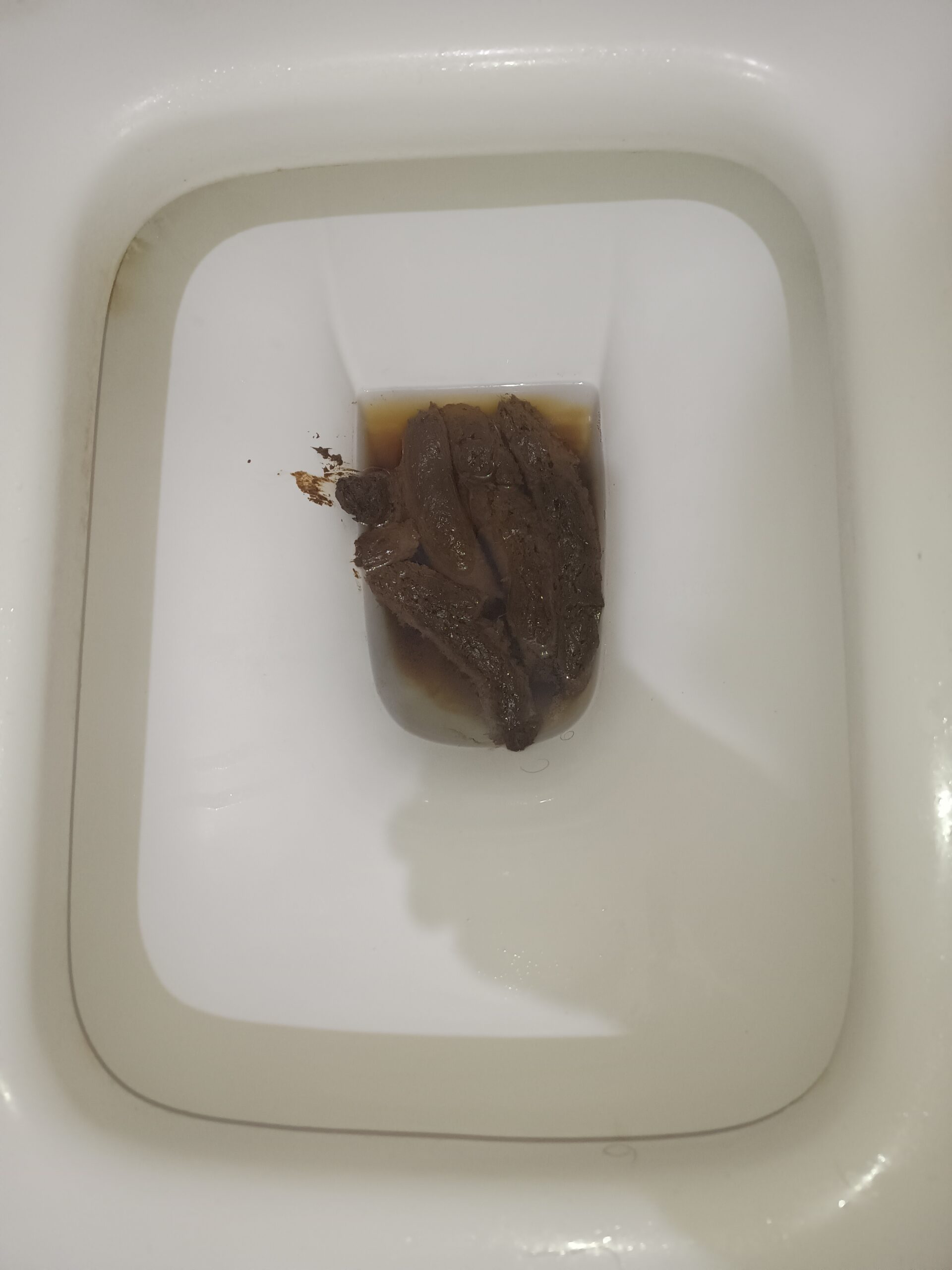 Quadruplets Bristol 3!