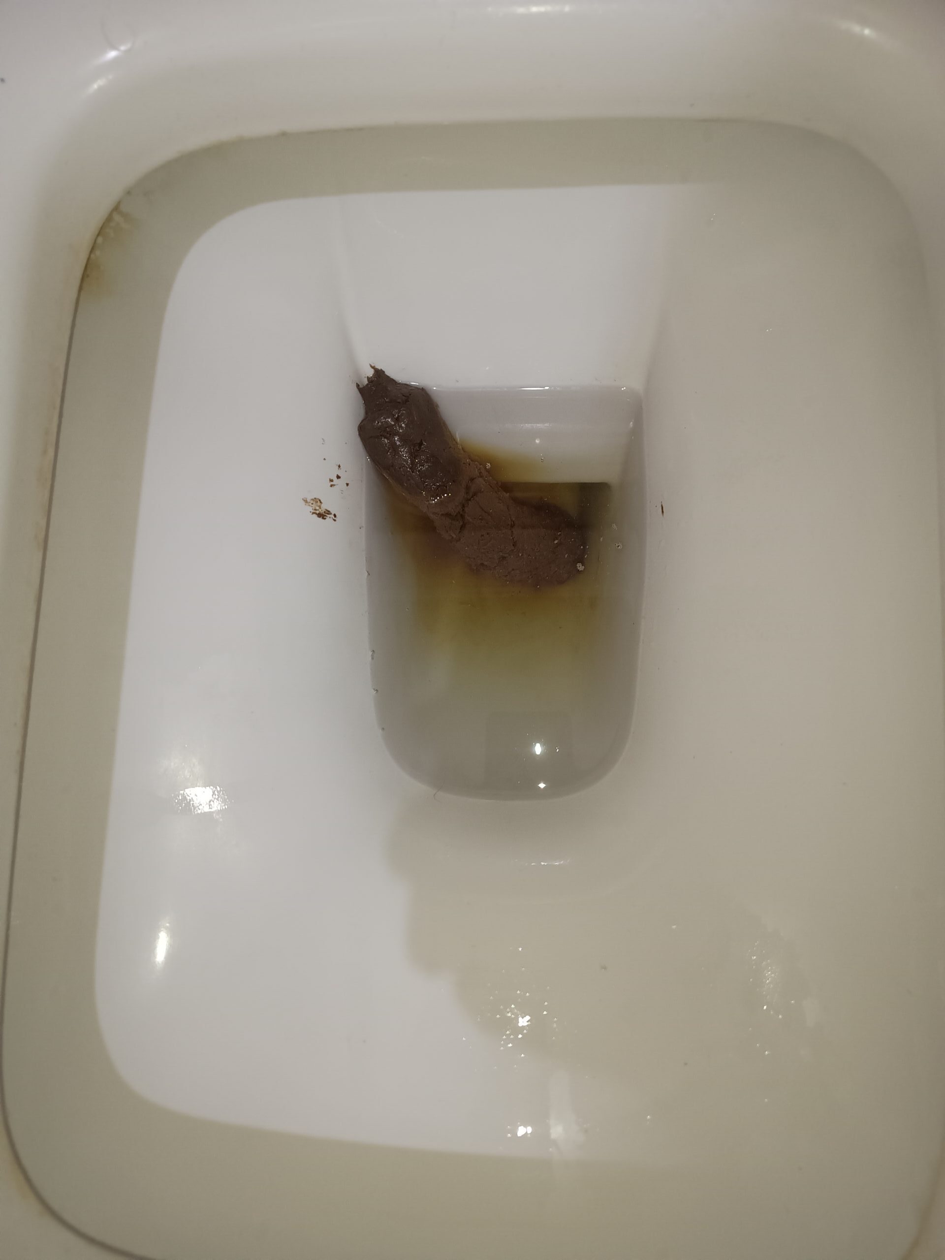 2024-02-14 | A Solid Bristol 3 Example!