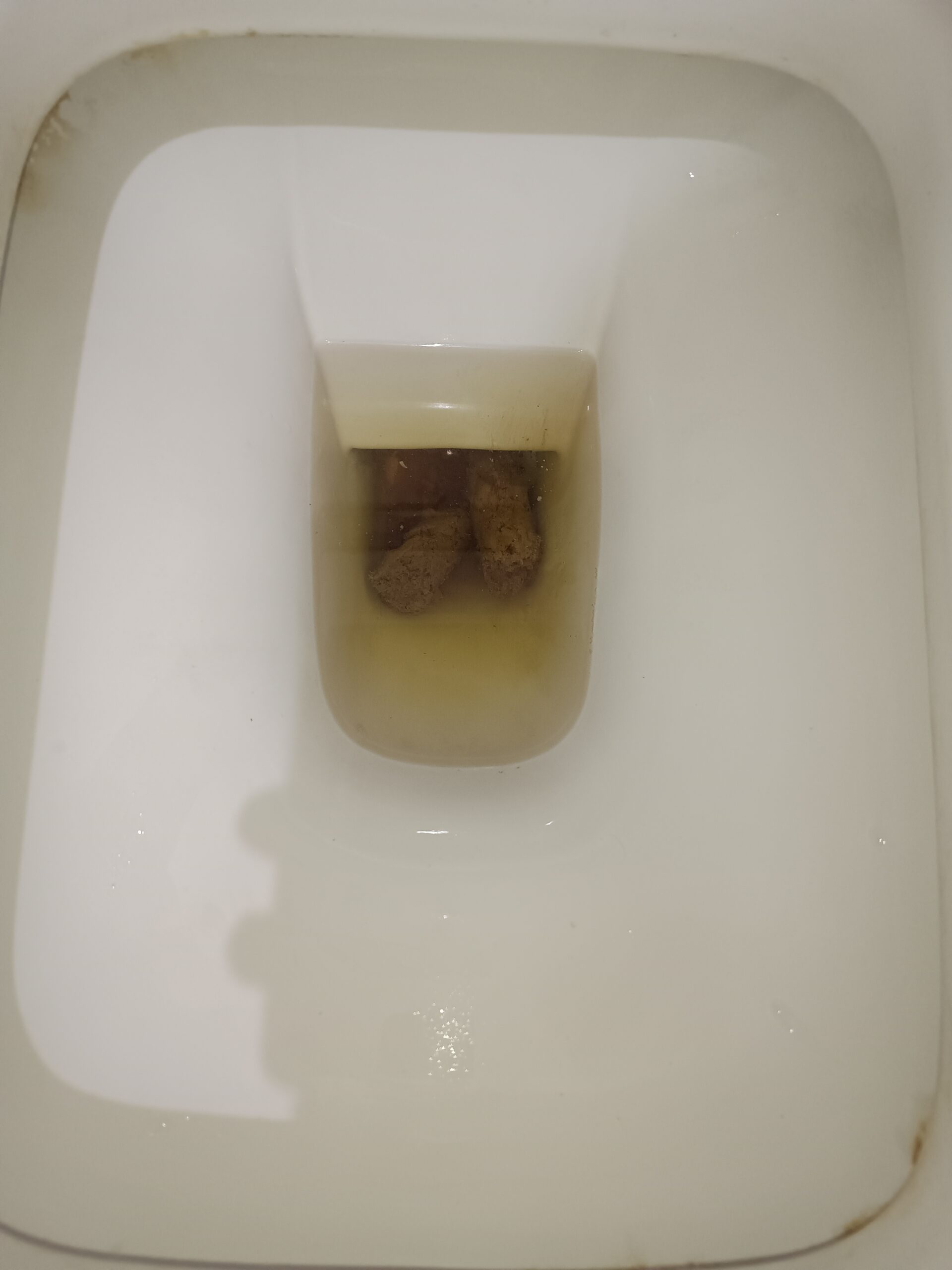 2024-02-16 | Dual Bristol 5 Day!