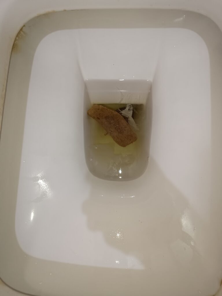 A Fair Bristol 4 Floater