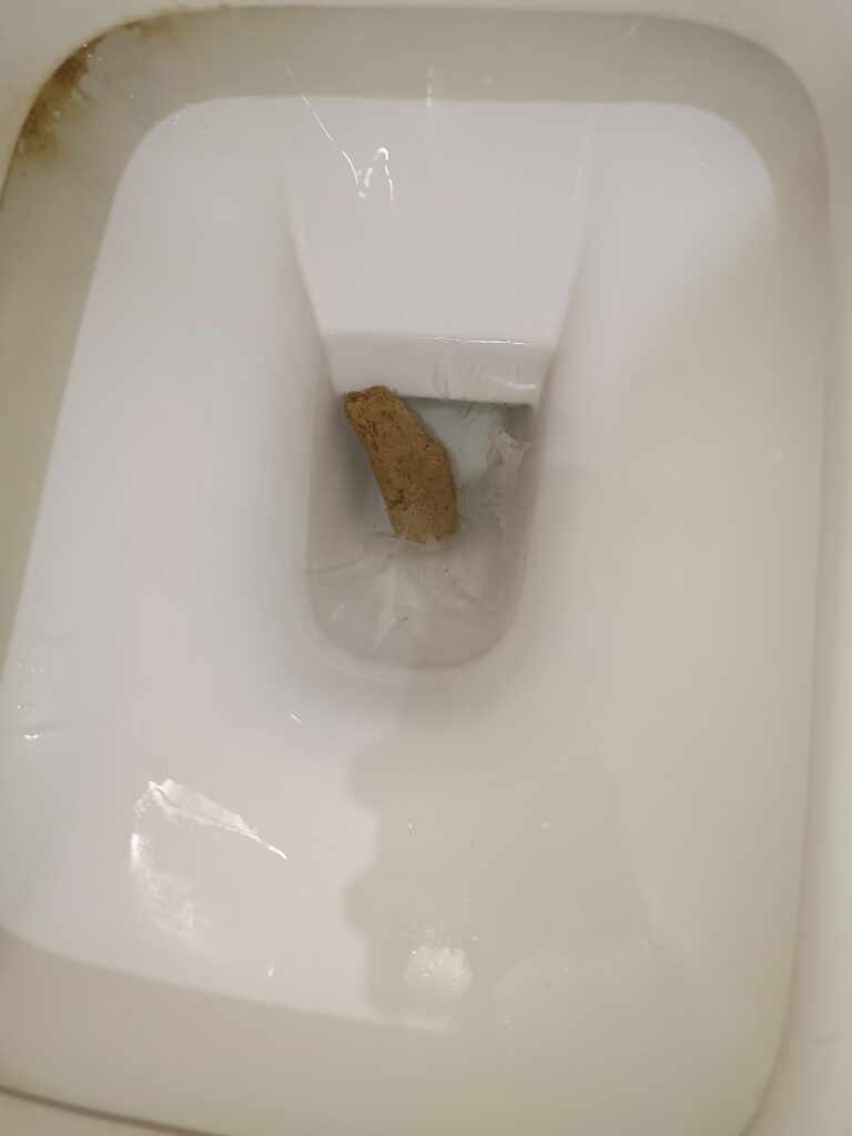 Another Fair Bristol 4 Floater!