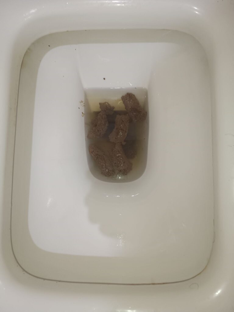 Bristol 6 Archipelago