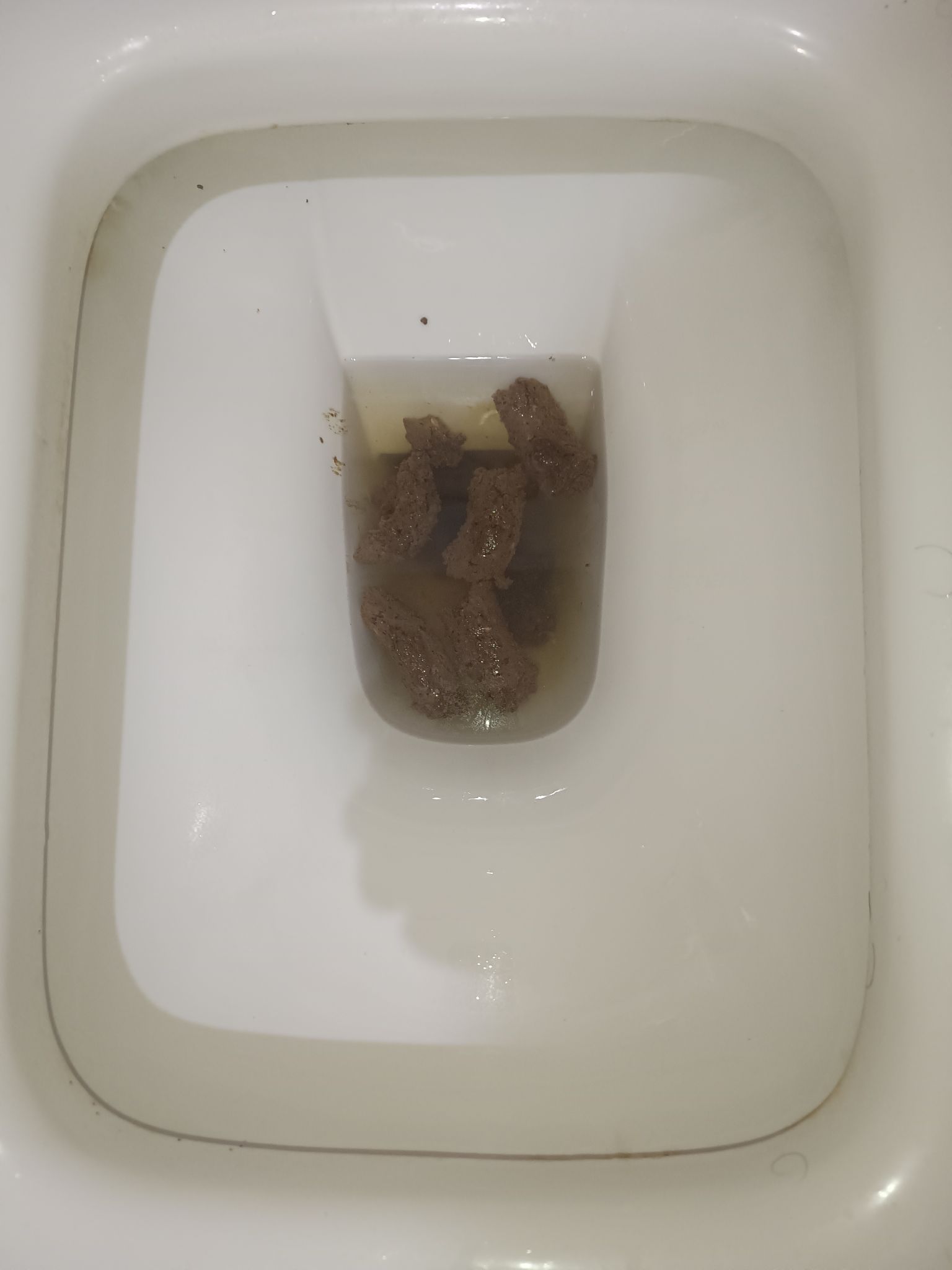 Bristol 6 Archipelago