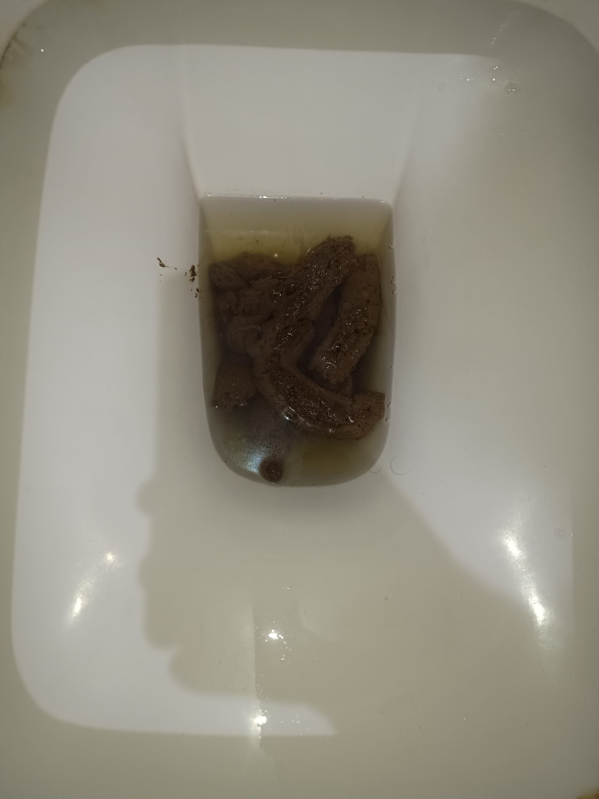 2024-02-20 | Some Bristol 3 Floaters to brighten up the day!