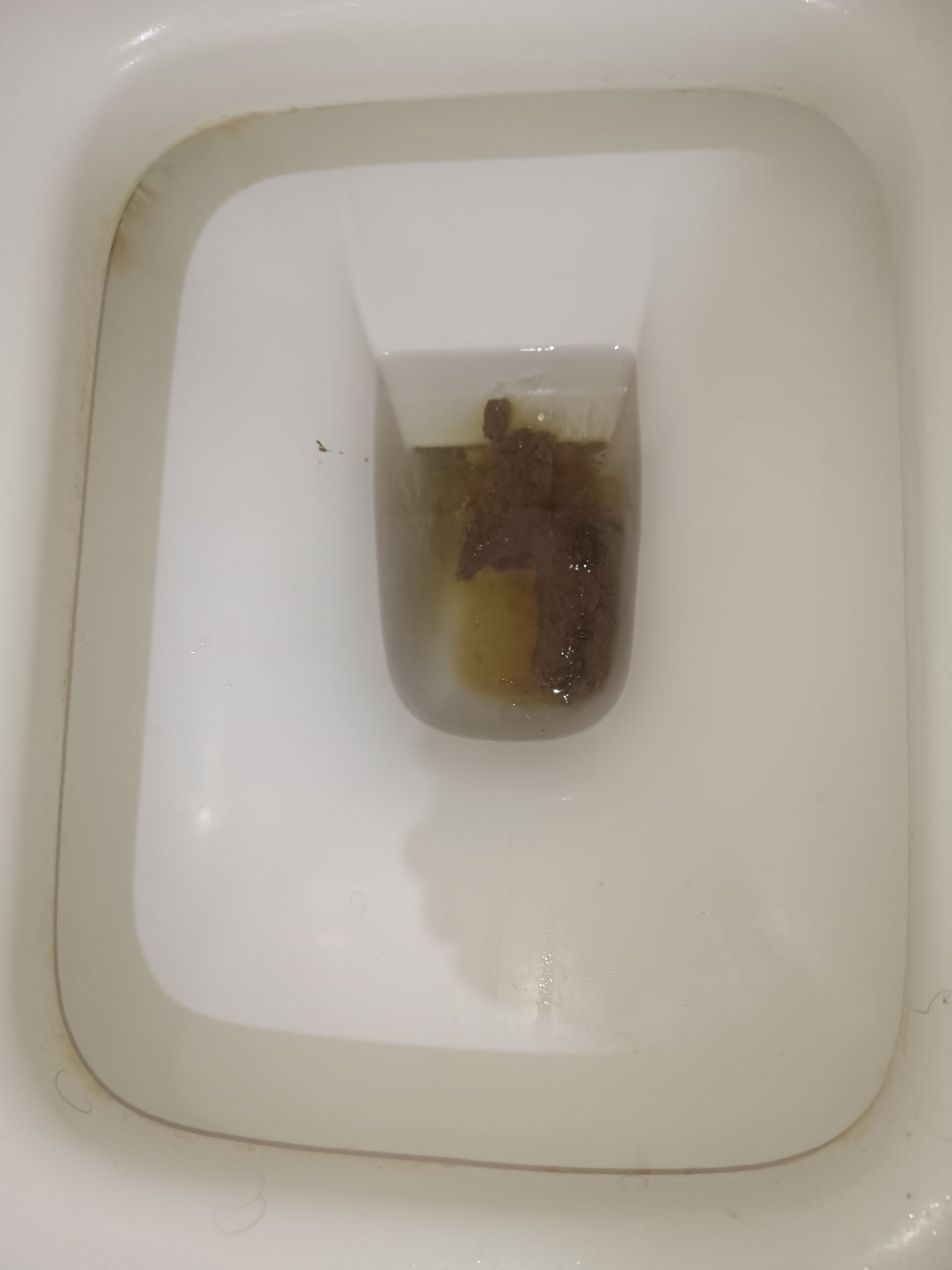 2024-02-21 | Floaters… always floaters!