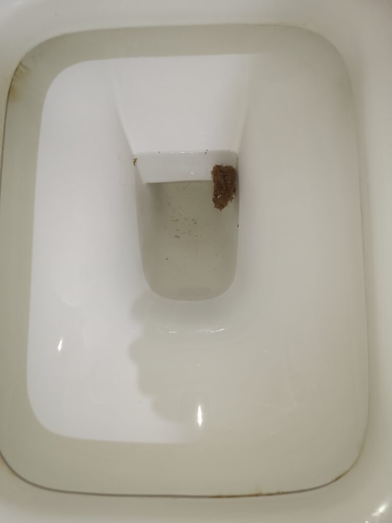 Sometimes they comeback