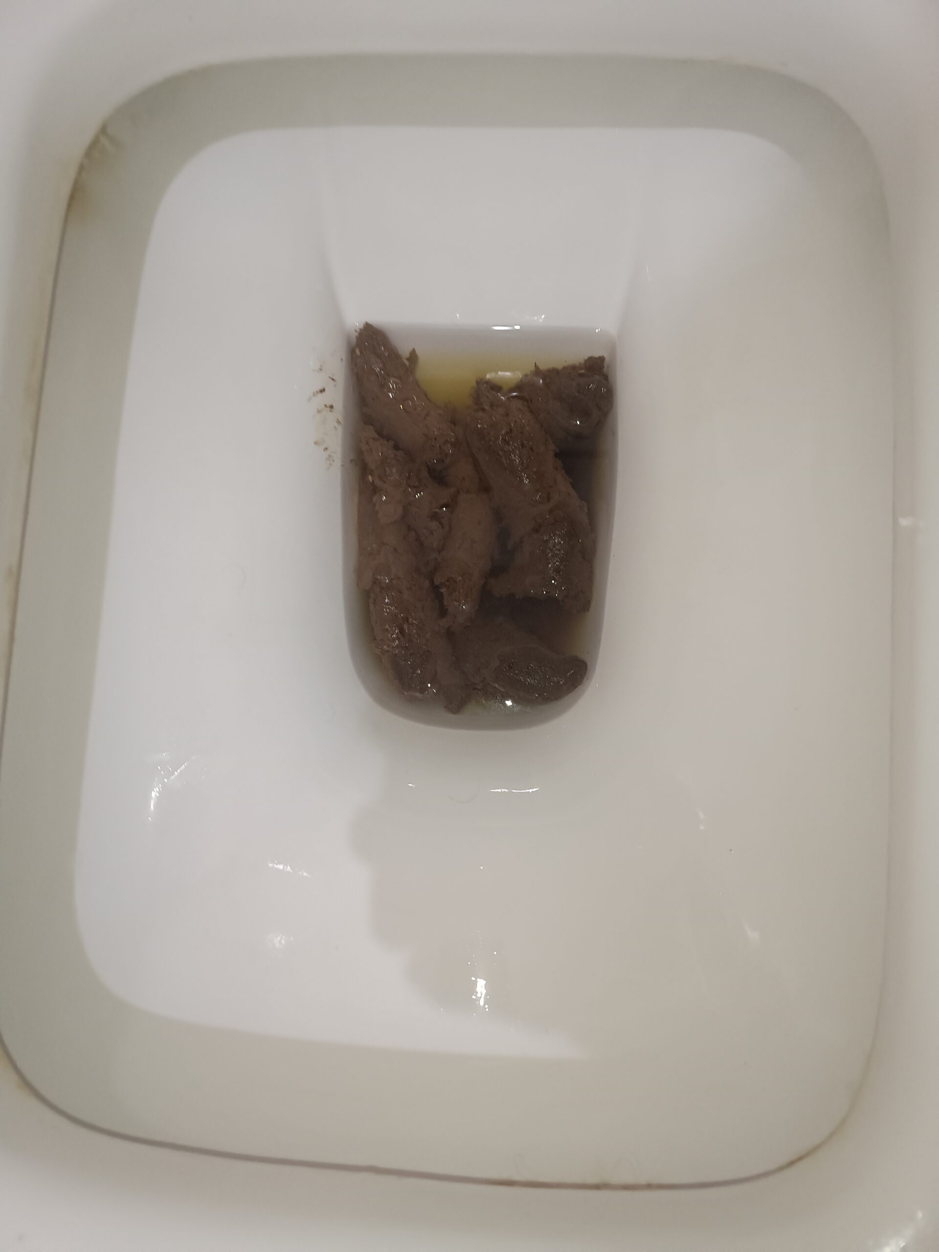 2024-02-26 | More Bristol 3s!