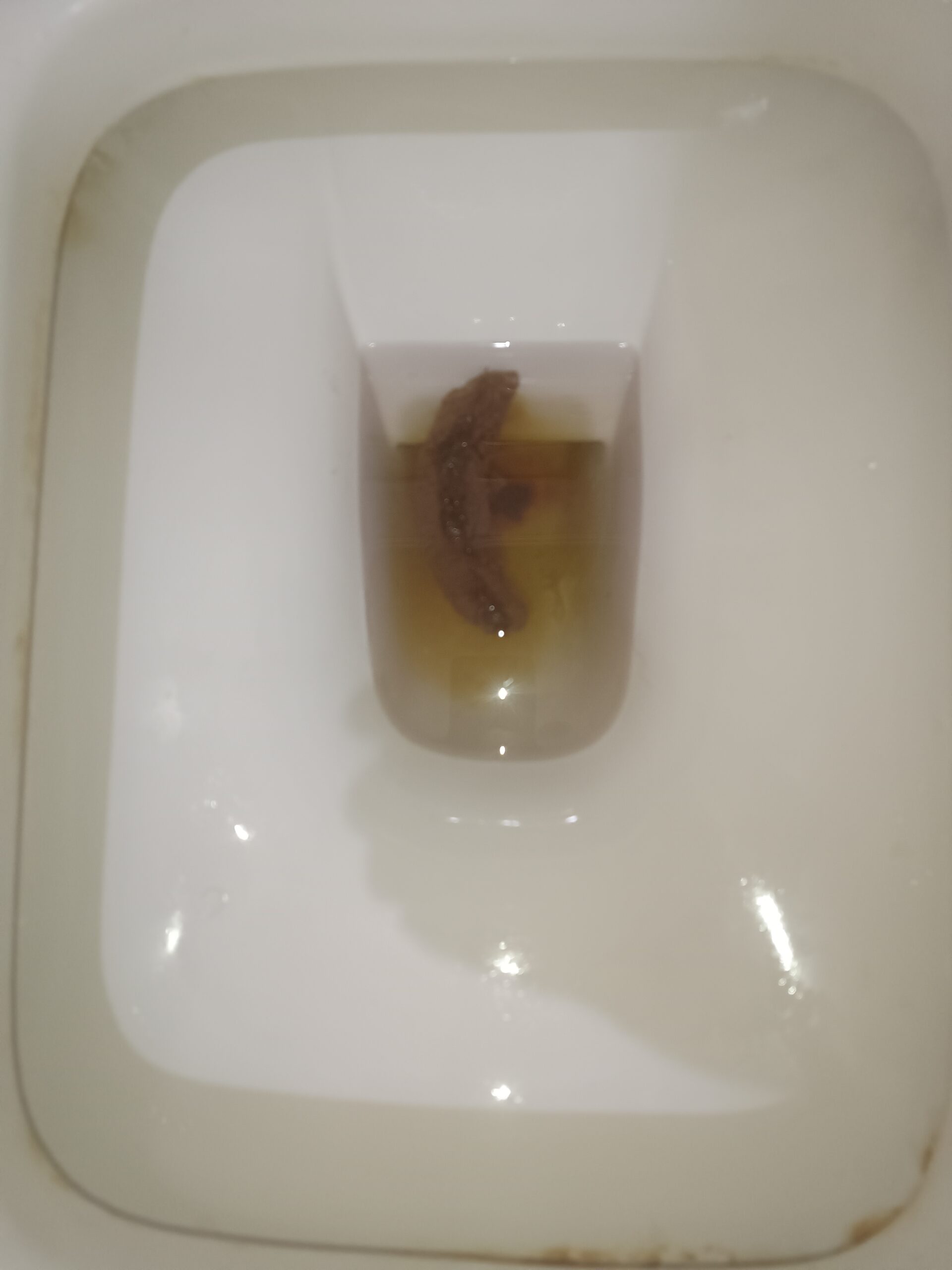 2024-03-01 | Another Bristol 4 Floater