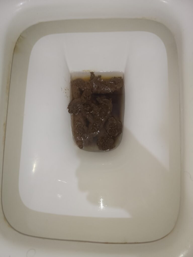 Dark Bristol 3s floating