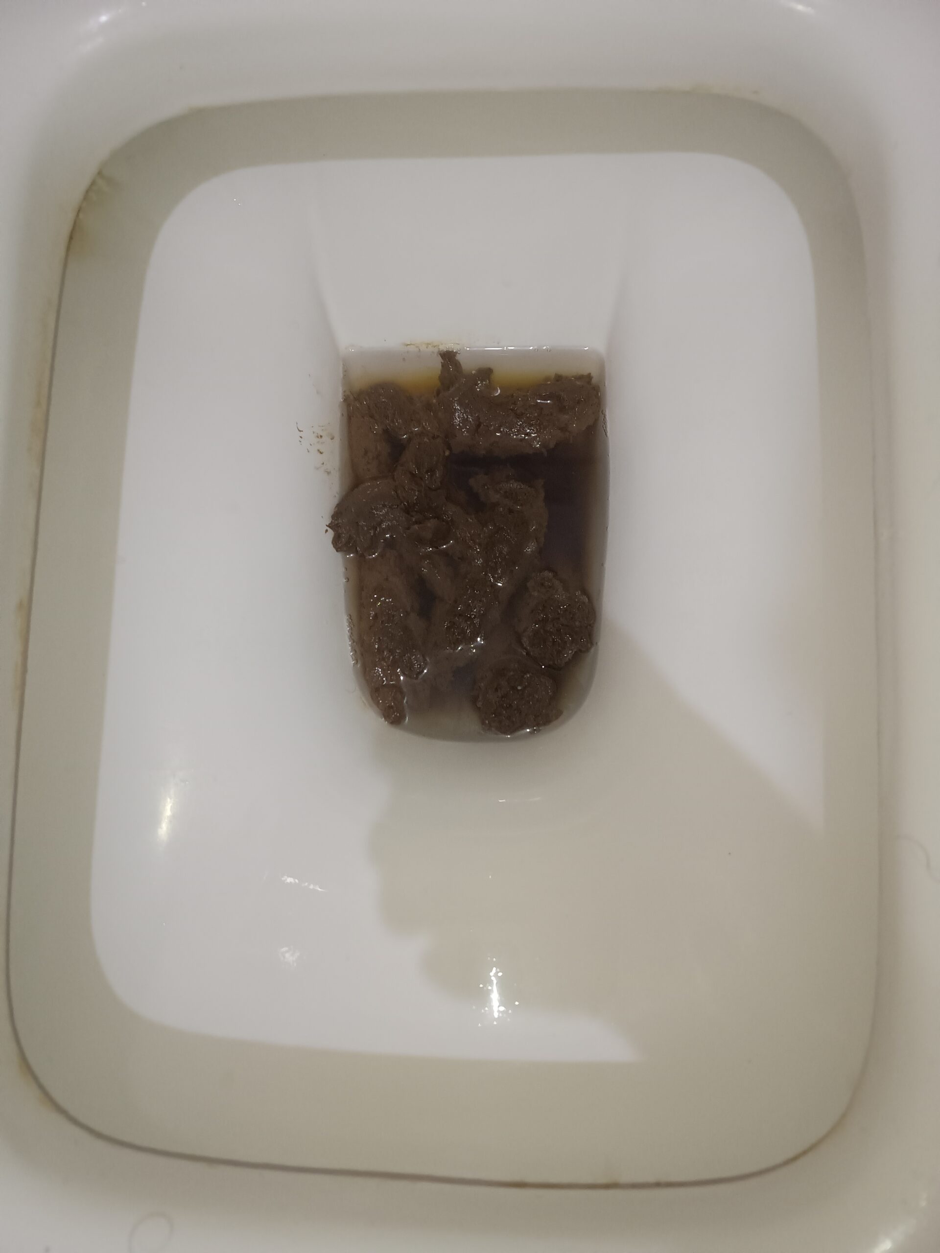 2024-03-02 | Some dark Bristol 3s just floating around!