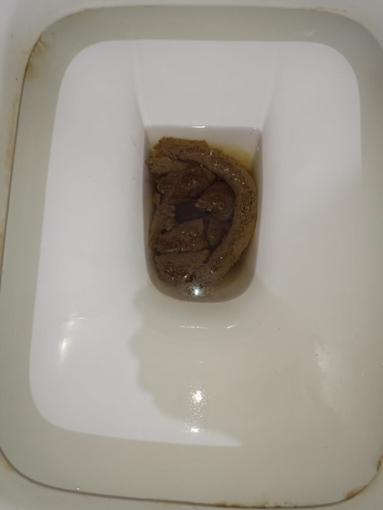 A Dragon-head Bristol 3!