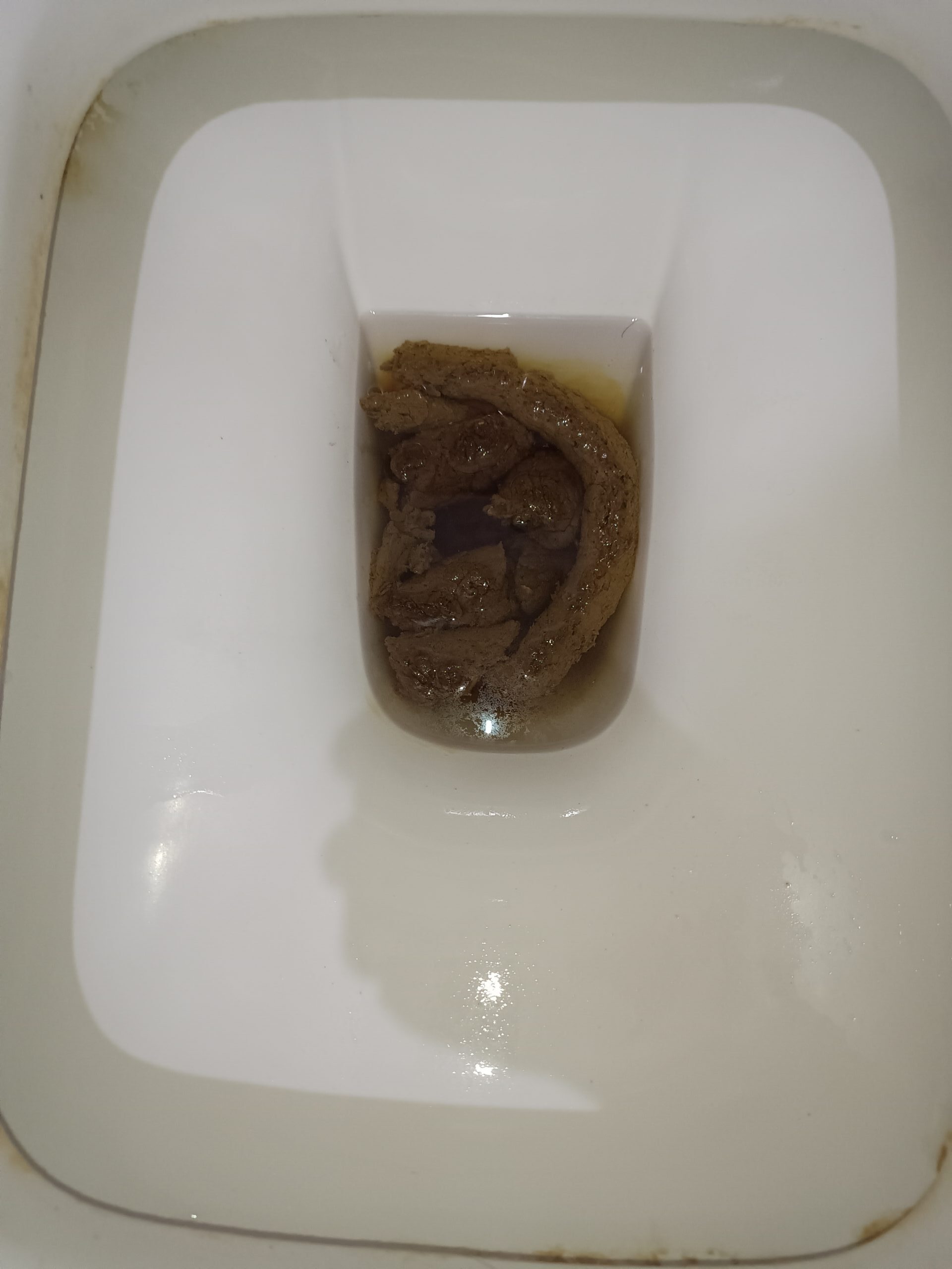 2024-03-04 | A Dragon Head Bristol 3!