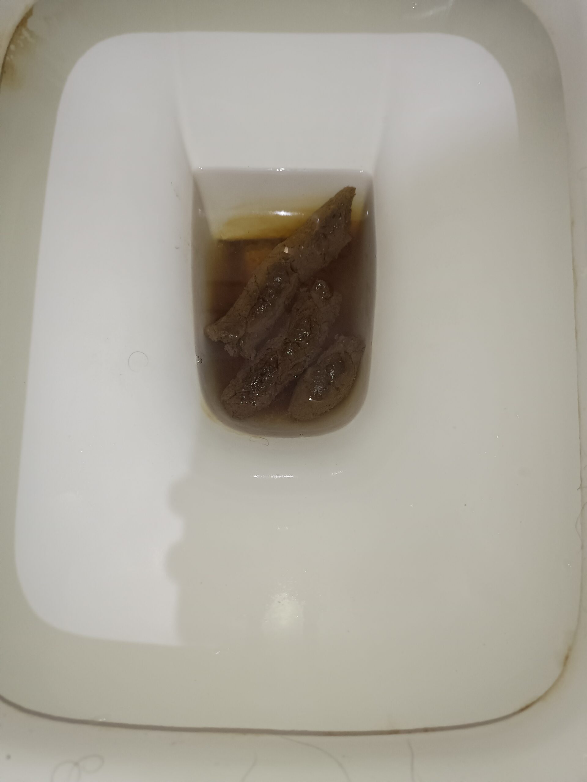 2024-03-05 | 3 Floating logs!