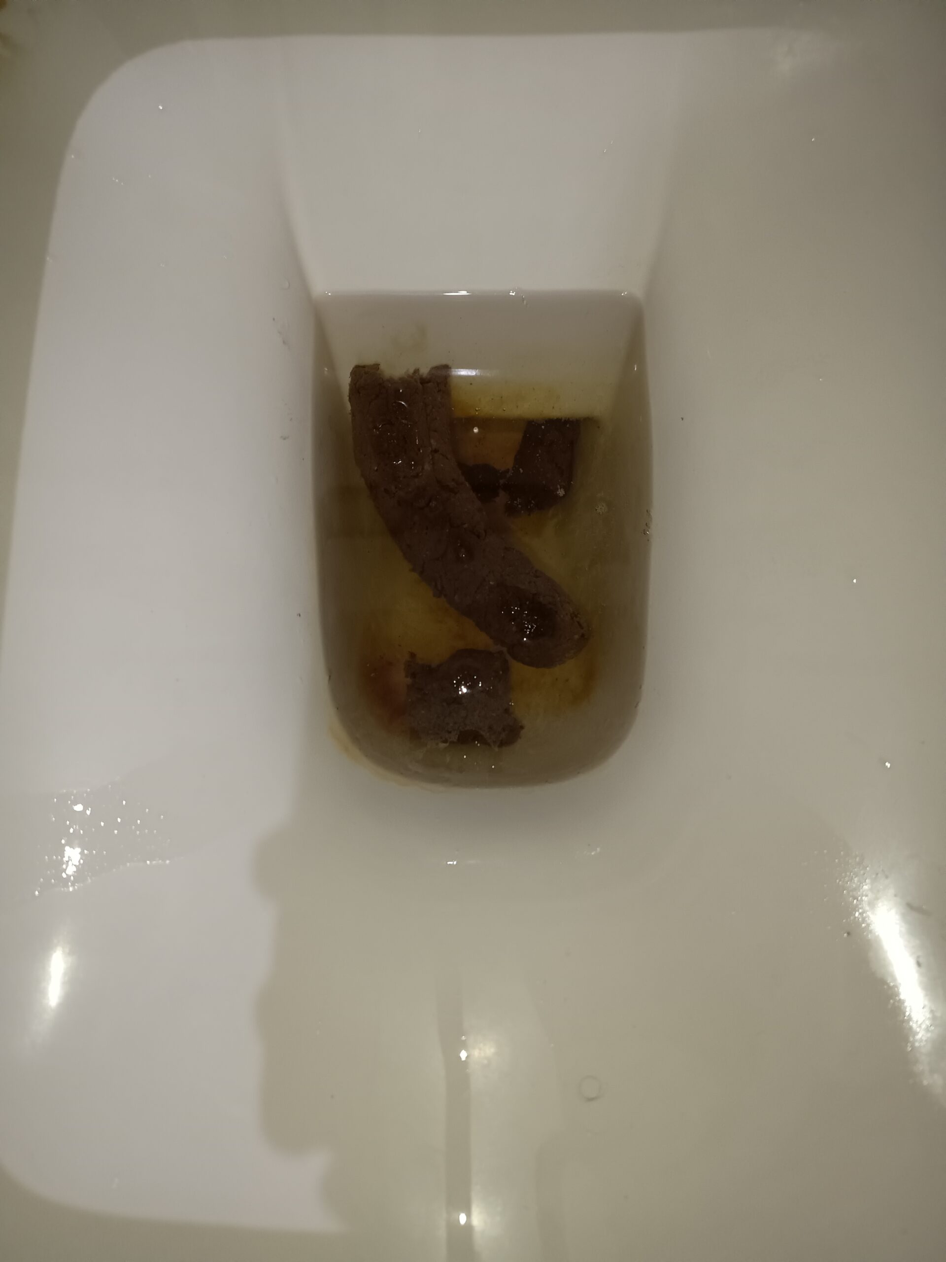 2024-03-07 | Perfect day poop!